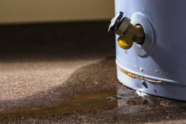Best 24/7 water damage repair  in Lochmoor Waterway Estates, FL