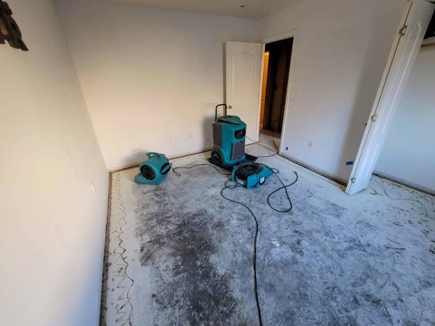 Best Emergency water damage restoration  in Lochmoor Waterway Estates, FL