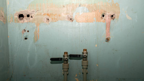 Best Local water damage restoration  in Lochmoor Waterway Estates, FL