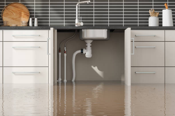 Best Sewage cleanup and water damage restoration  in Lochmoor Waterway Estates, FL
